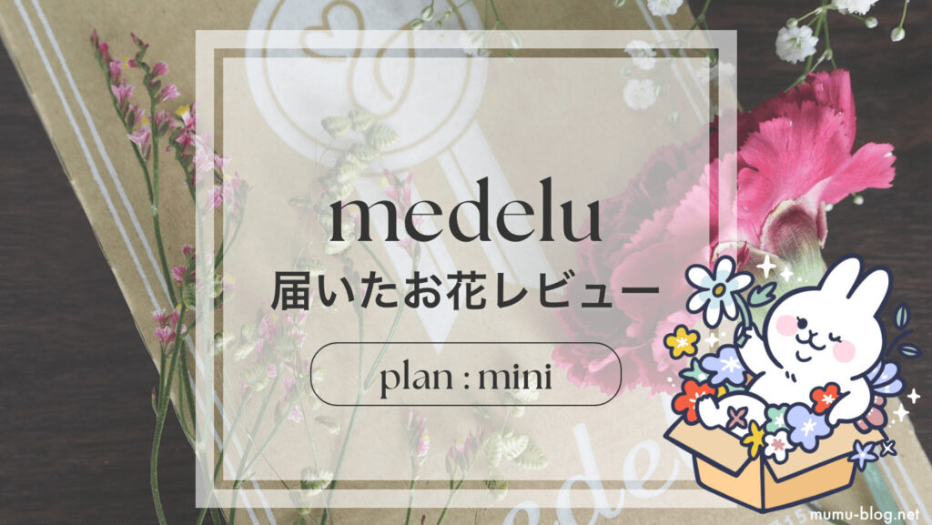 【お花の定期便medelu】プランMini実際に届いたお花レビュー